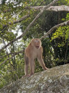 Phuket 2026: Mehr als nur ein Strandparadies