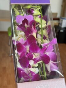 Die Bedeutung der Orchidee: Eleganz, Resilienz und Erbe