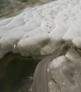 Historische Enthüllungen im ausgetrockneten Donau-Bett