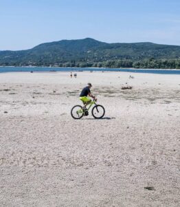 Historische Enthüllungen im ausgetrockneten Donau-Bett