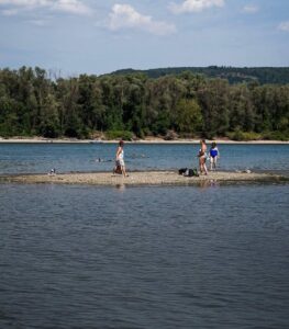 Historische Enthüllungen im ausgetrockneten Donau-Bett